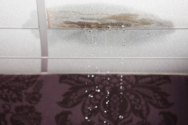 4 Warning Signs of a Roof Leak
