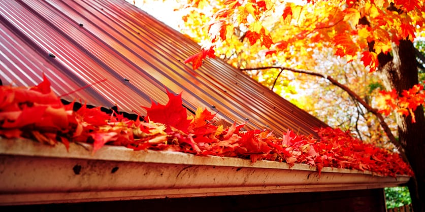 4 Reasons to Tackle Roofing Repairs in the Fall